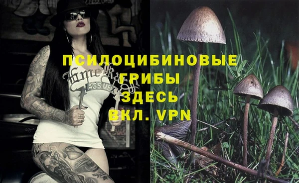 сатива Осташков