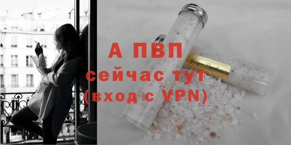 твердый Няндома