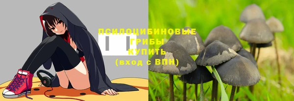 дурь Нязепетровск