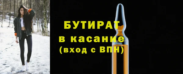 шишки Осинники