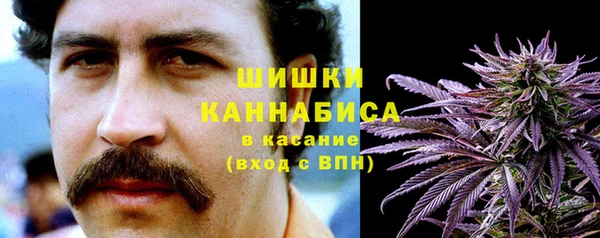 твердый Няндома