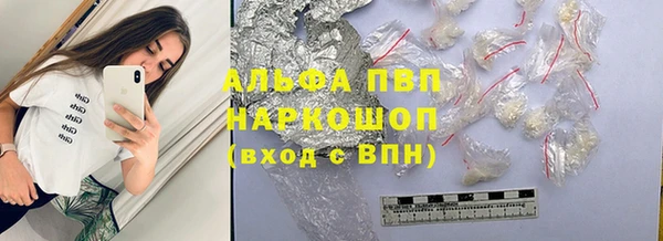 твердый Няндома