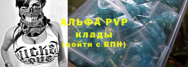 шишки Осинники