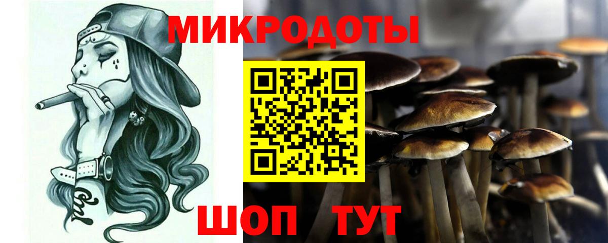 Чусовой  Псилоцибиновые грибы ЛСД  где продают   Вход с VPN  Псилоцибиновые грибы Psilocybe 